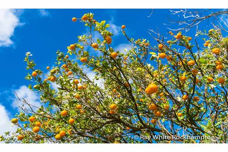 Property photo of 170 Black Creek Road Nerimbera QLD 4701