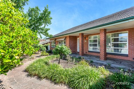 Property photo of 7 McRae Avenue Windsor Gardens SA 5087