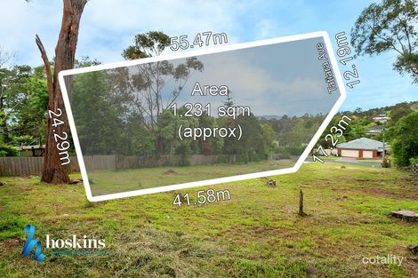 11a Tatiara Ave, Croydon North, VIC 3136