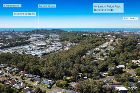 Property photo of 44 Ladds Ridge Road Burleigh Heads QLD 4220