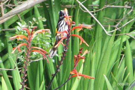 Property photo of 7 Preston Street Elizabeth Downs SA 5113