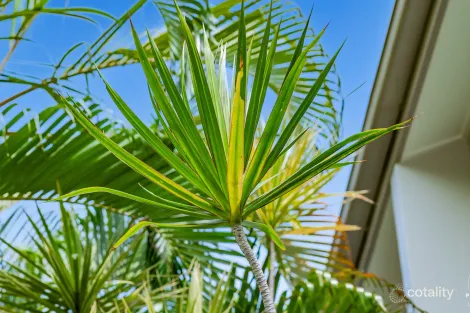 Property photo of 21/75-79 Cedar Road Palm Cove QLD 4879