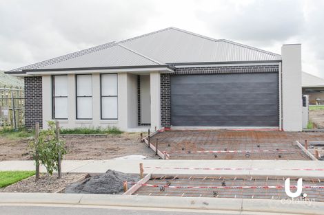 Property photo of 3 Vine Street Chisholm NSW 2322