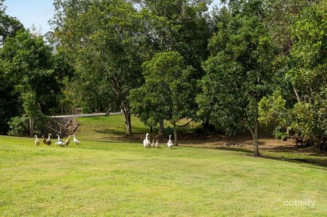Property photo of 179 Mount O'Reilly Road Samford Valley QLD 4520