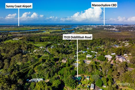 Property photo of 791B Diddillibah Road Diddillibah QLD 4559