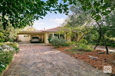 Property photo of 12 Thorpe Street Torrens Park SA 5062