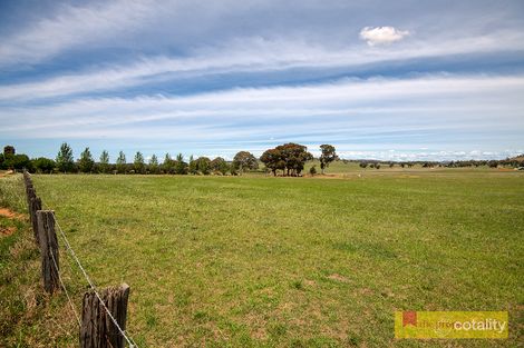 42 Zimmler Lane, Gulgong, NSW 2852