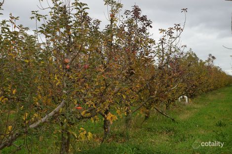 120 Prentice Rd, Orrvale, VIC 3631