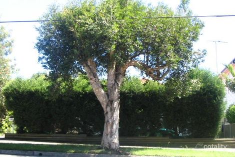 Property photo of 197 Moorefields Road Roselands NSW 2196