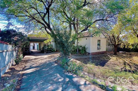 Property photo of 41 Jackson Terrace Enfield SA 5085