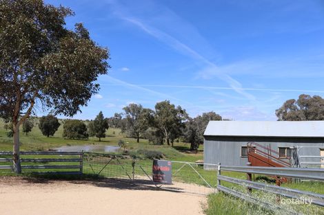 111 Forbes Lane, Young, NSW 2594