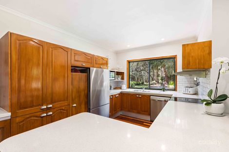 Property photo of 17 Bloodwood Place Cooroibah QLD 4565