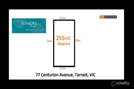 Property photo of 77 Centurion Avenue Tarneit VIC 3029