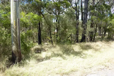 Property photo of 29-31 Camberwell Road Vineyard NSW 2765