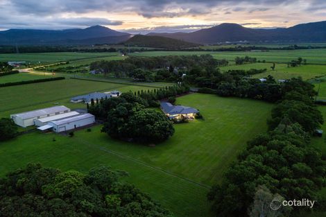 299 Crossland Rd, Gordonvale, QLD 4865