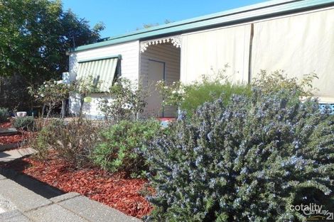 Property photo of 12 Mill Street Port Augusta SA 5700