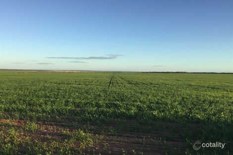 3092 Perenjori-Rothsay Rd, Perenjori, WA 6620