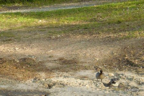 Property photo of 26 Mulwala Street Maudsland QLD 4210