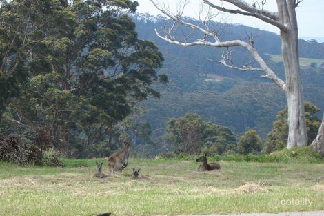 Property photo of 3 Jamieson Heights Shadforth WA 6333