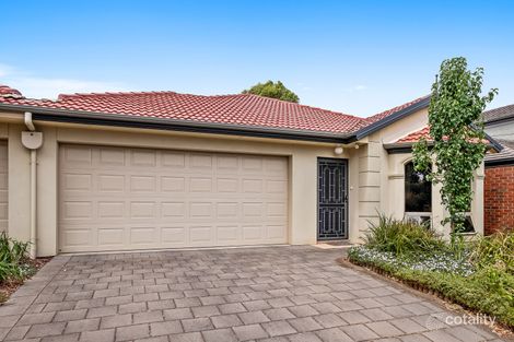 Property photo of 10 Portland Street Windsor Gardens SA 5087