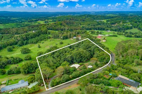 Property photo of 491 Pearces Creek Road Alstonvale NSW 2477