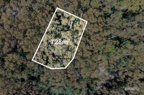 Property photo of 1 Wattle Grove Springbrook QLD 4213