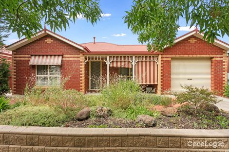 Property photo of 1/2 Bright Street Eaglehawk VIC 3556