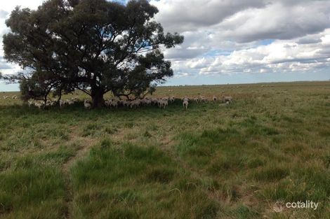 Property photo of 2146 Pretty Pine Road Morago NSW 2710