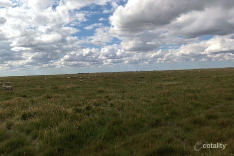 Property photo of 2146 Pretty Pine Road Morago NSW 2710