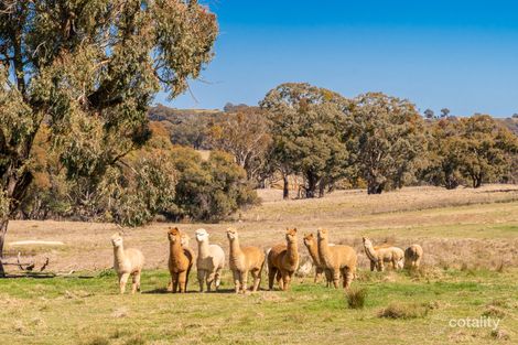 993 Gallymont Rd, Mandurama, NSW 2792