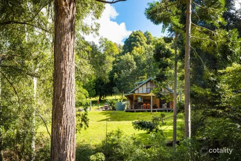 222 Worlands Rd, Tanja, NSW 2550