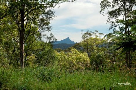 Property photo of 31 Hinchinbrook Road Burringbar NSW 2483