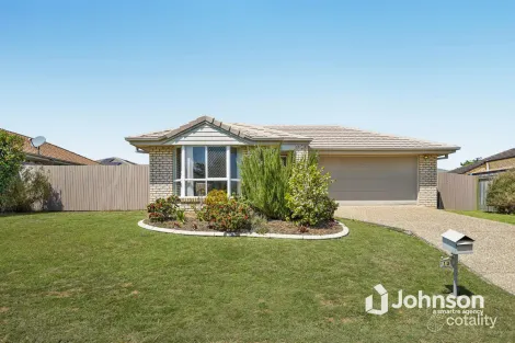 19 Pencarrow Cres, Raceview, QLD 4305