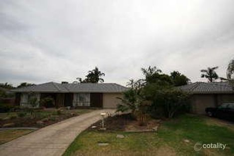 17 Georgia Ave, Grange, SA 5022