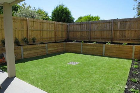 Property photo of 46 Kanooka Grove Clayton VIC 3168