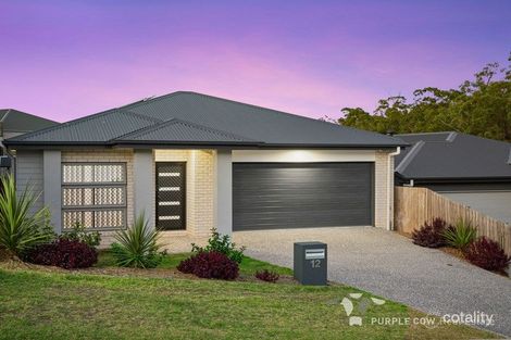 12 Silvertop Cres, Spring Mountain, QLD 4300