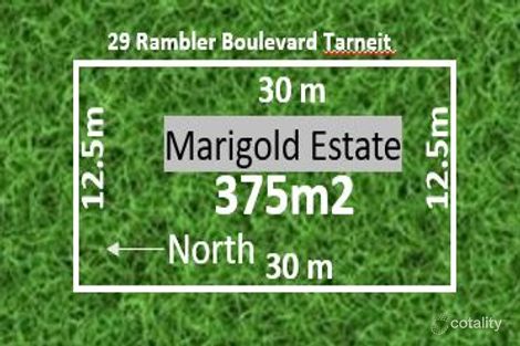 Property photo of 29 Rambler Boulevard Tarneit VIC 3029