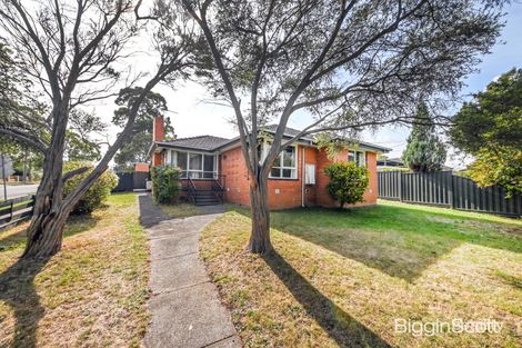 Property photo of 11 Willow Avenue Glen Waverley VIC 3150