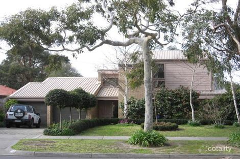 19 Northam St, Glen Waverley, VIC 3150