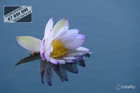 Property photo of 112 Moncrieff Road Gumlow QLD 4815