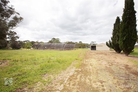 Property photo of 99 Ferguson Road Lucindale SA 5272