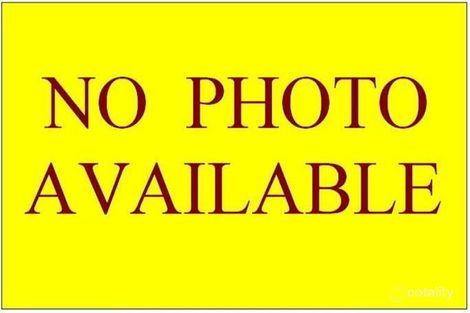 Property photo of 49 Hamlyn Road Oakey QLD 4401