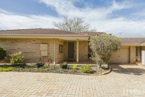 Property photo of 7/298 Albert Street Balcatta WA 6021