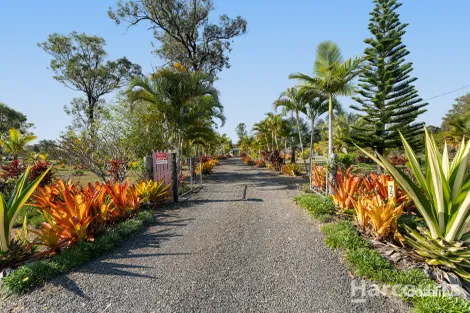 Property photo of 75 Todd Street Torbanlea QLD 4662