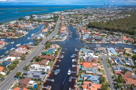 Property photo of 42 Walter Raleigh Crescent Hollywell QLD 4216