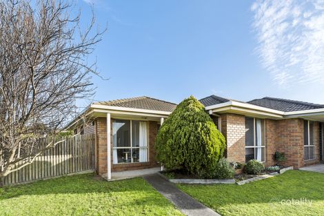 1/260 High St, Belmont, VIC 3216