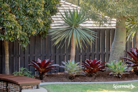 Property photo of 22 Rosella Drive Bahrs Scrub QLD 4207