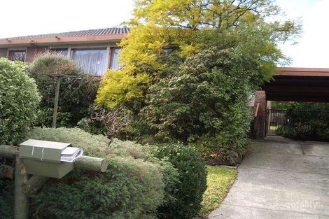 310 Blackburn Rd, Doncaster East, VIC 3109