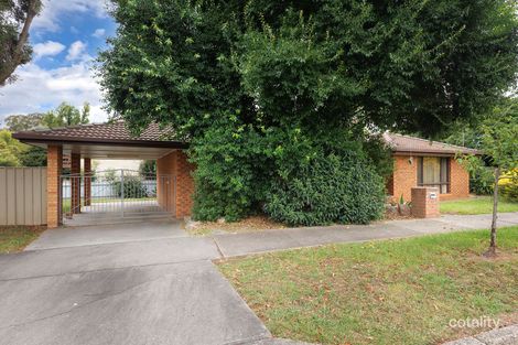 Property photo of 53 Pearce Street Wodonga VIC 3690