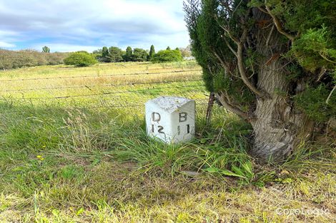 Property photo of 51 High Street Bombala NSW 2632